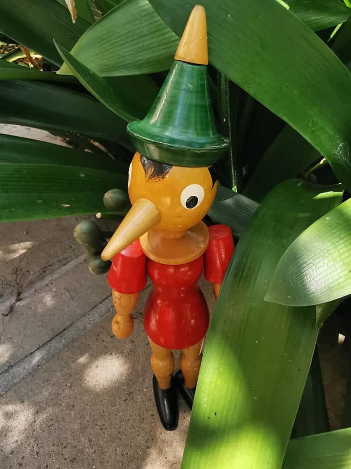 Pinocchio the mascot