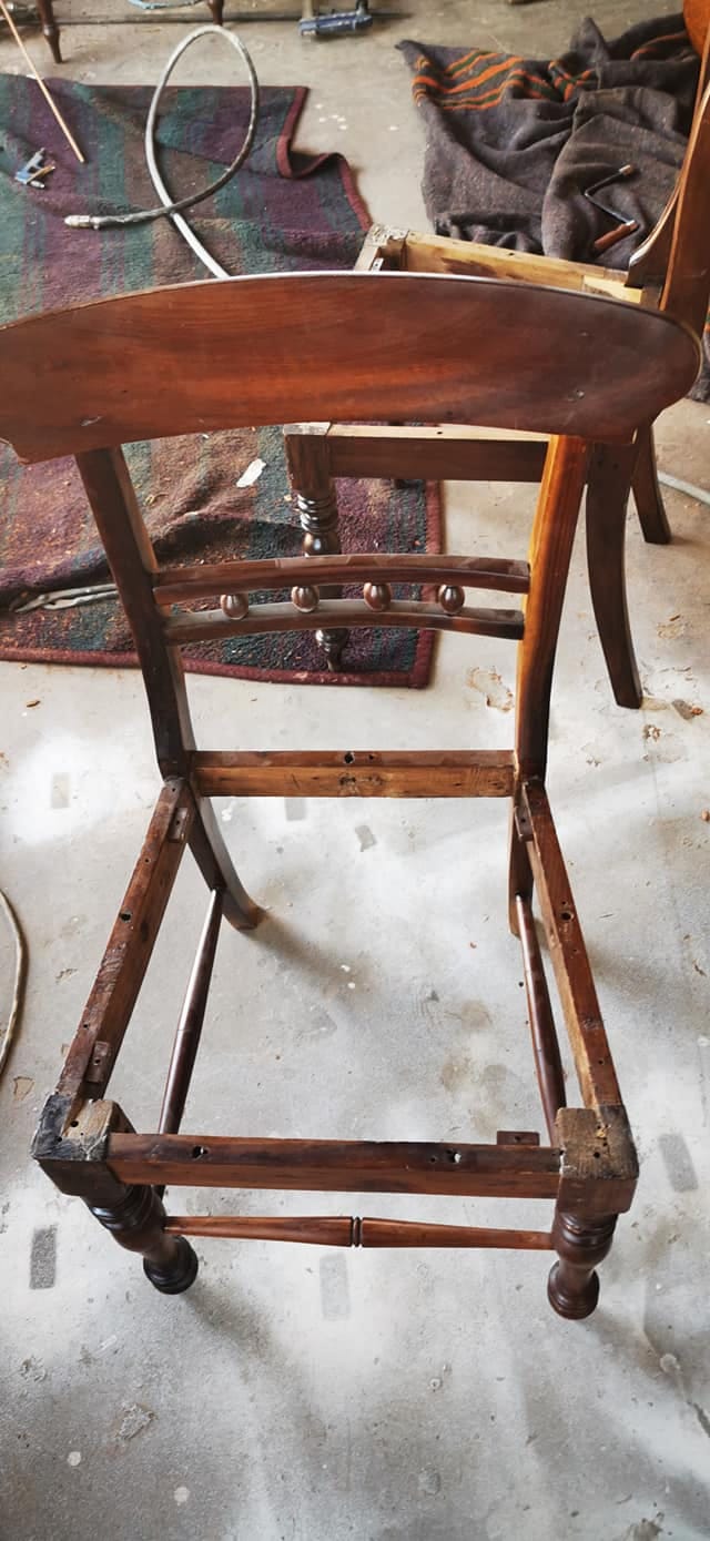 Stinkwood chairs — before restoration